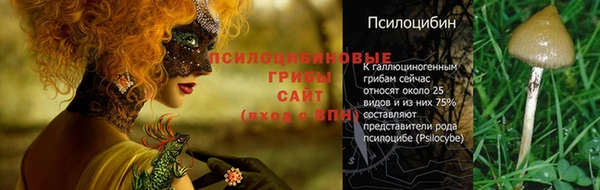 MDMA Premium VHQ Медногорск