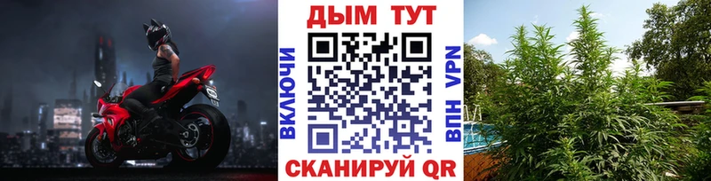 Конопля марихуана  Таштагол 